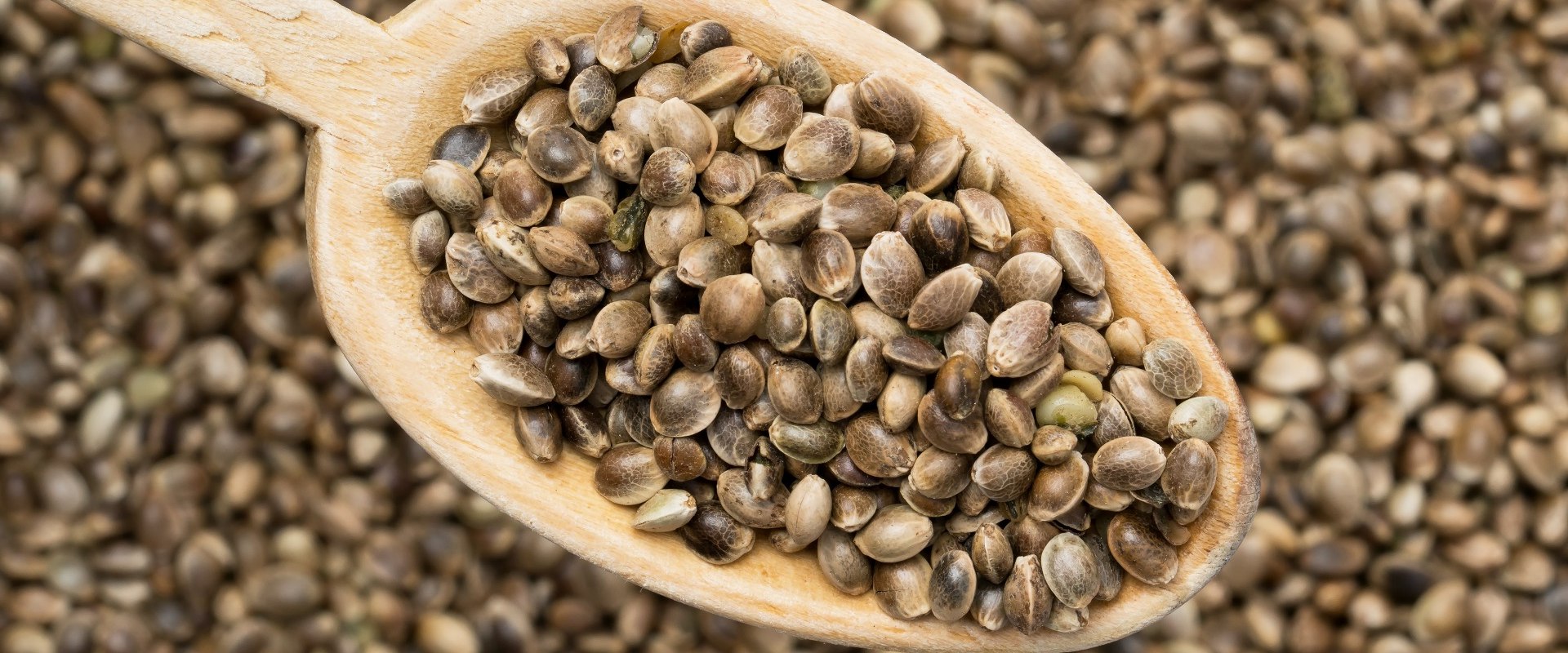 Can Eating Hemp Seeds Make You Fail a Drug Test?