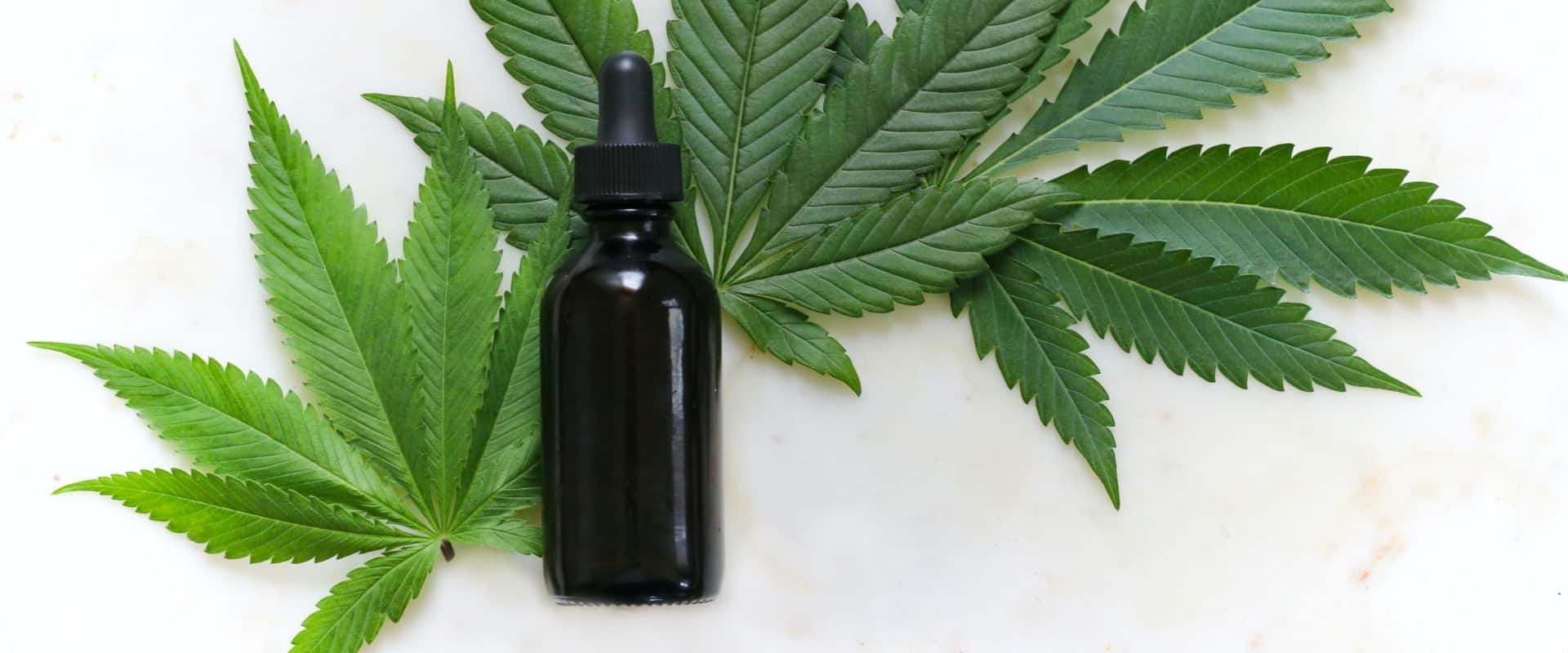 Is CBD Oil Legal in Other Countries?