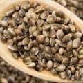 Can Eating Hemp Seeds Make You Fail a Drug Test?