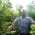 Where is the Best Place to Grow Hemp?