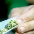 Can THC Kill You? The Truth Behind Marijuana Overdoses