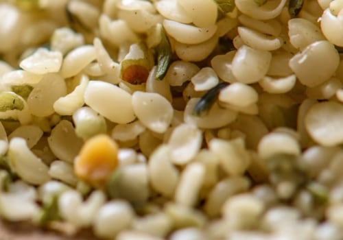 Can Hemp Seed Show Up on a Drug Test?